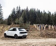 «Foresting Switzerland by Honda»: Honda engagiert sich für den umweltgerechten Aufbau der Schweizer Wälder und lädt die Kunden zum Mitmachen ein